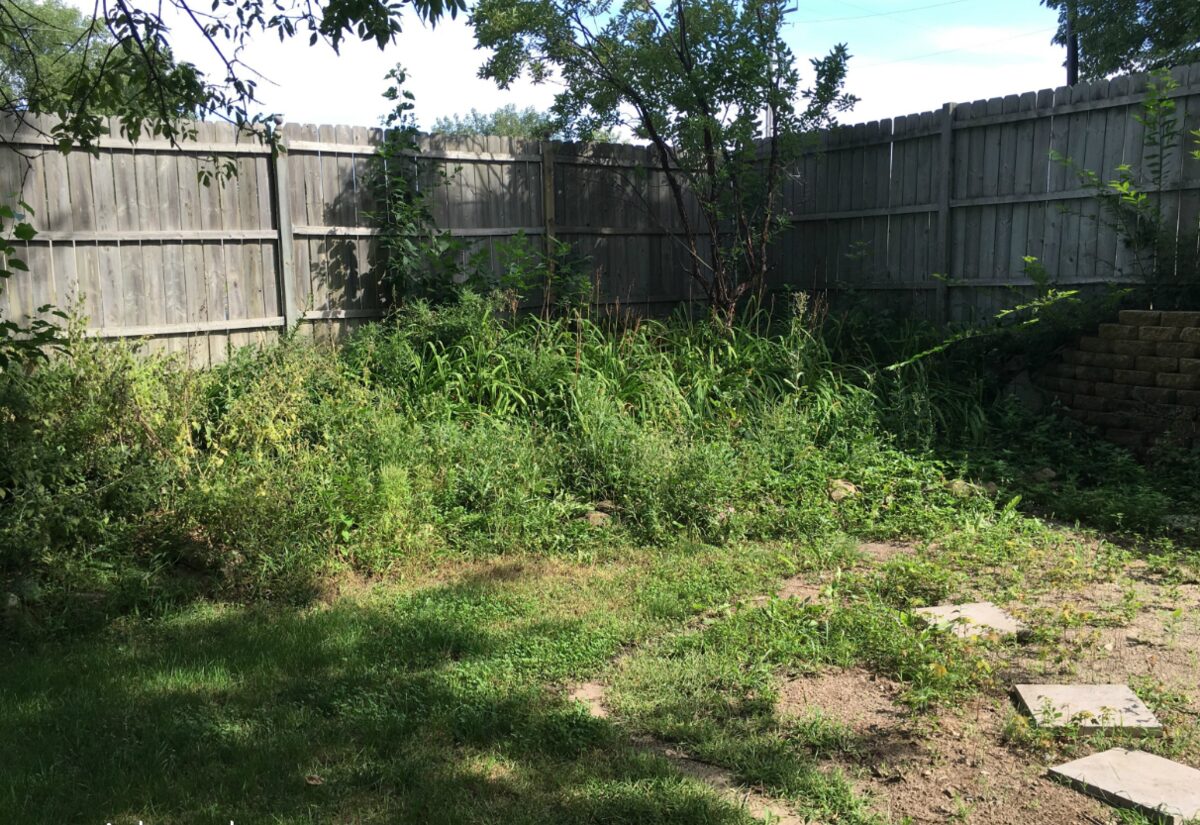 Overgrown backyard corner before a planting bed installation