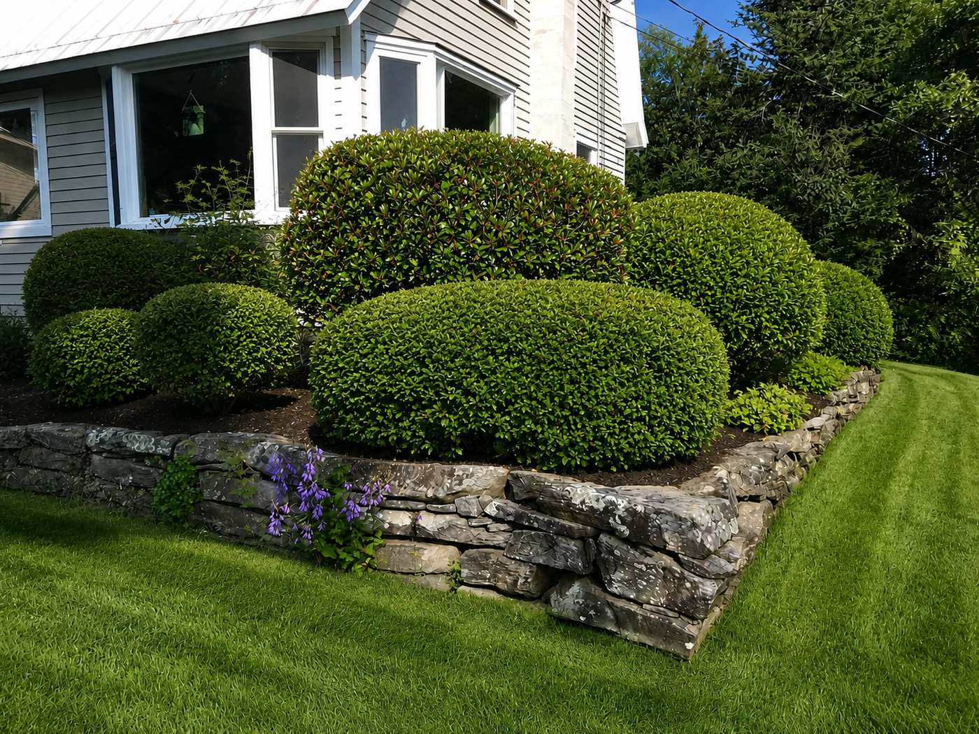 Beautifully landscaped San Gabriel Valley backyard
